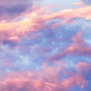 Meet your Posher, Ashlynn